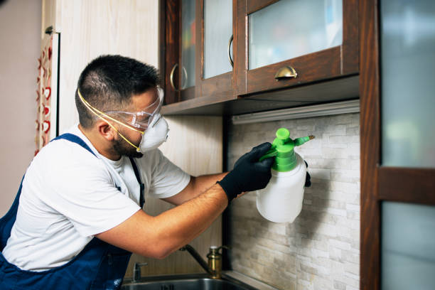 Best Bed Bug Extermination  in Ephrata, WA
