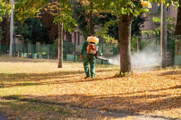 Best Pest Removal Services  in Ephrata, WA