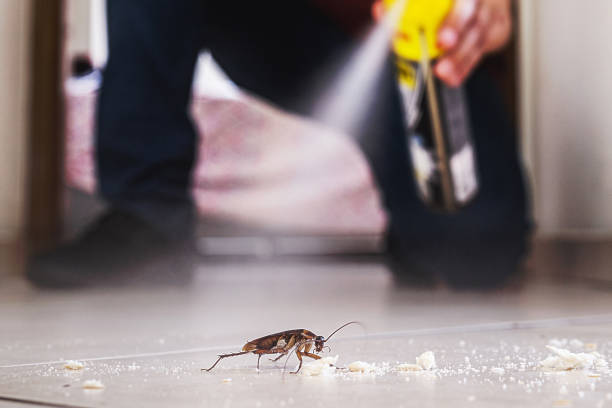 Best Pest Control for Restaurants  in Ephrata, WA