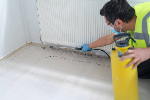 Best Termite Control Services  in Ephrata, WA
